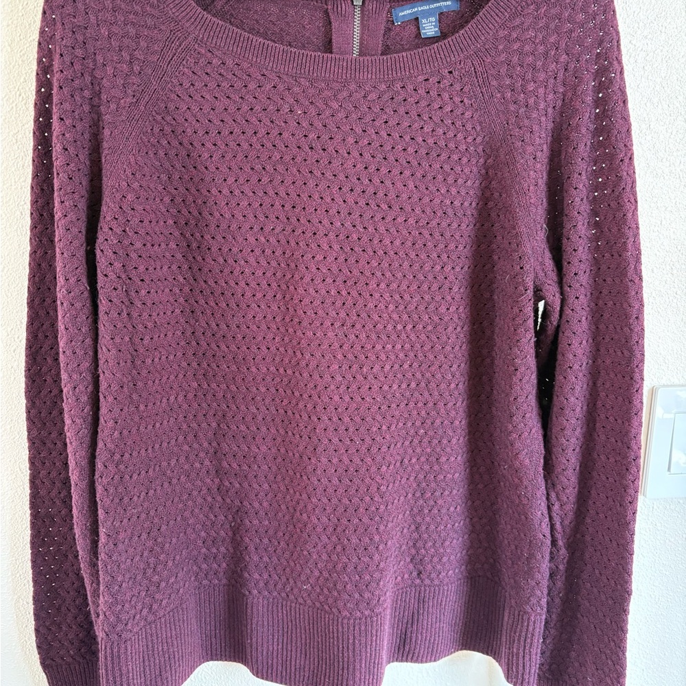 American Eagle Outfitters Maroon Crew Neck Sweater
